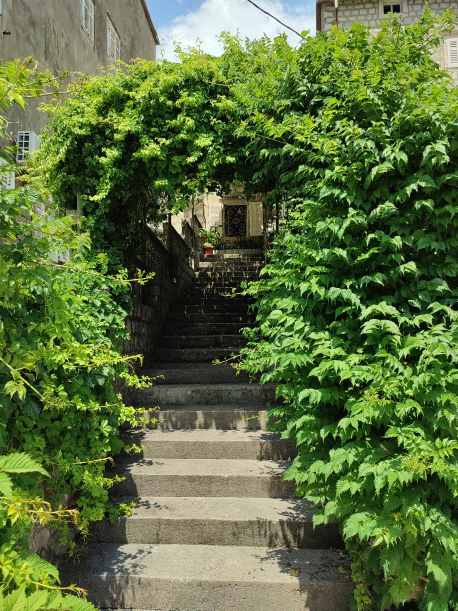 Guesthouse Zmukic Perast Exterior foto